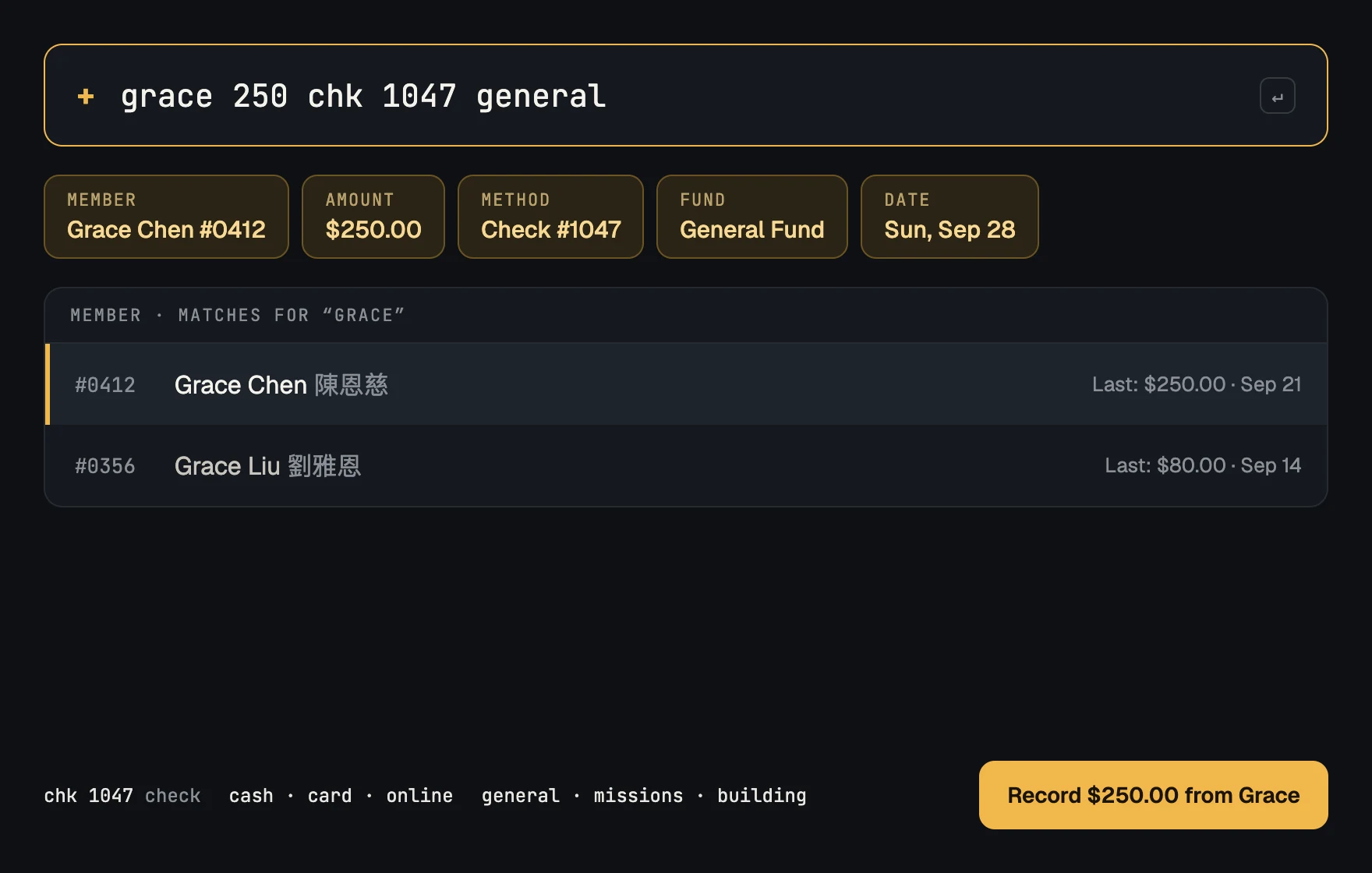 Command bar exploration. The line grace 250 chk 1047 general is parsed into member, amount, method, fund and date chips, with matching members listed below.
